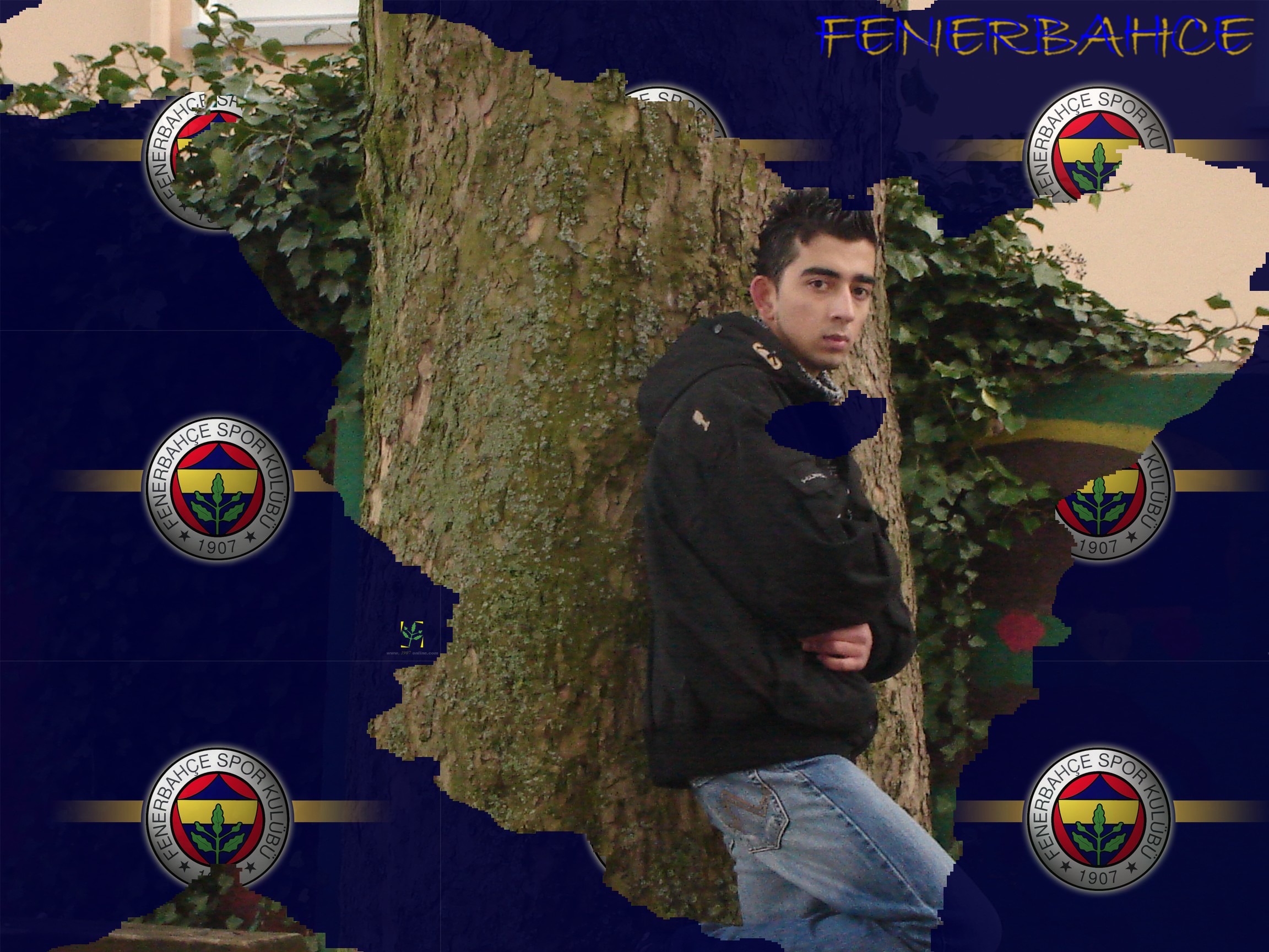 fenerbahce1.jpg